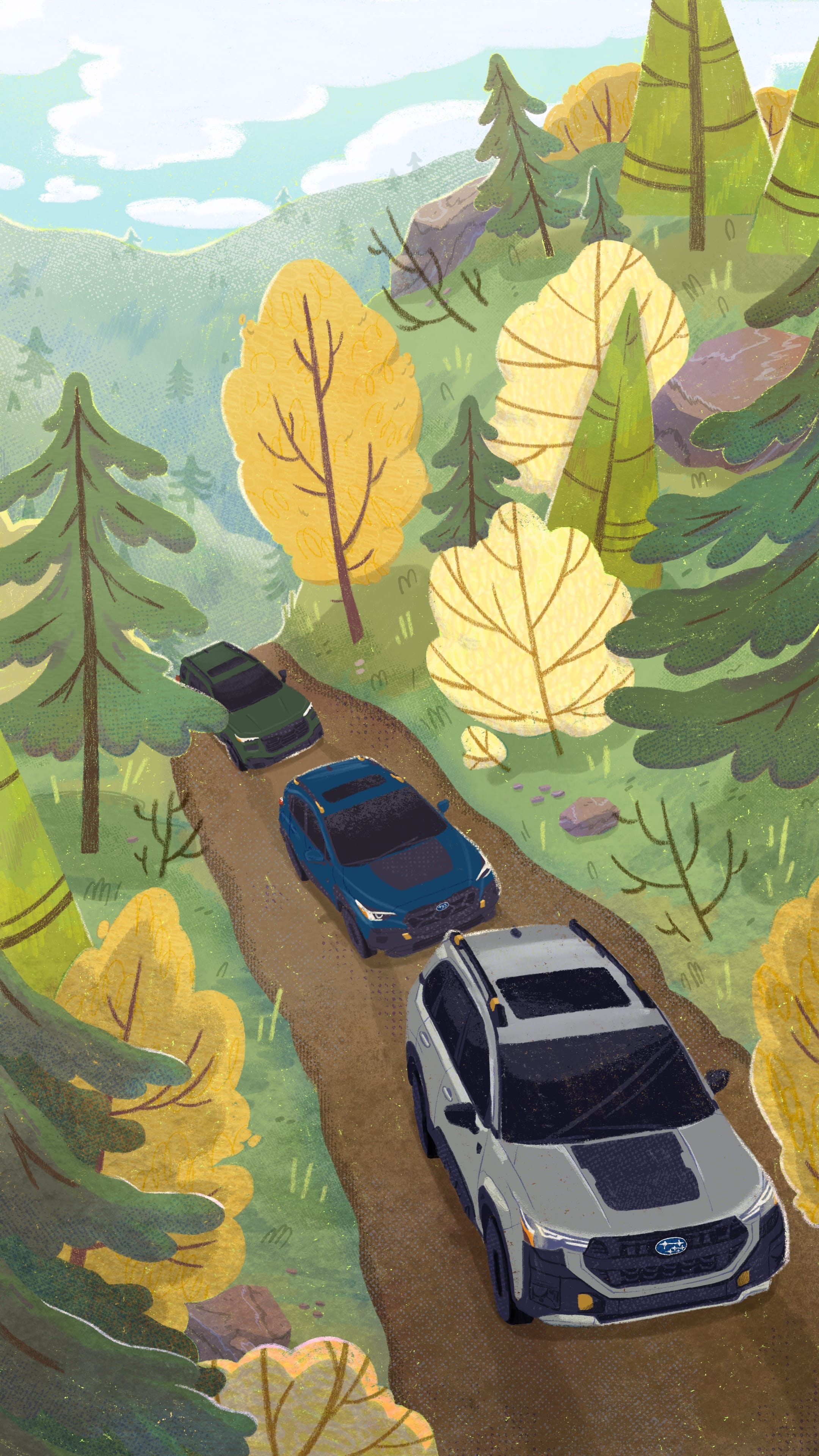 Illustration of a line of 2025 Subarus in the woods